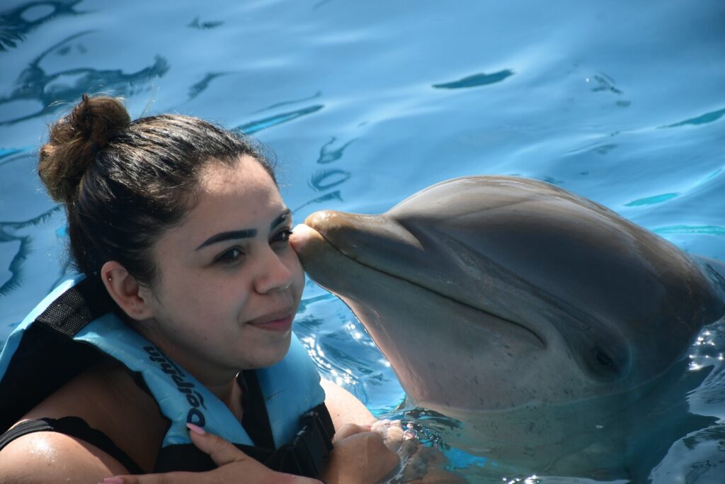 Tours En Puerto Vallarta Que No Te Debes Perder Aquaventuras Blog