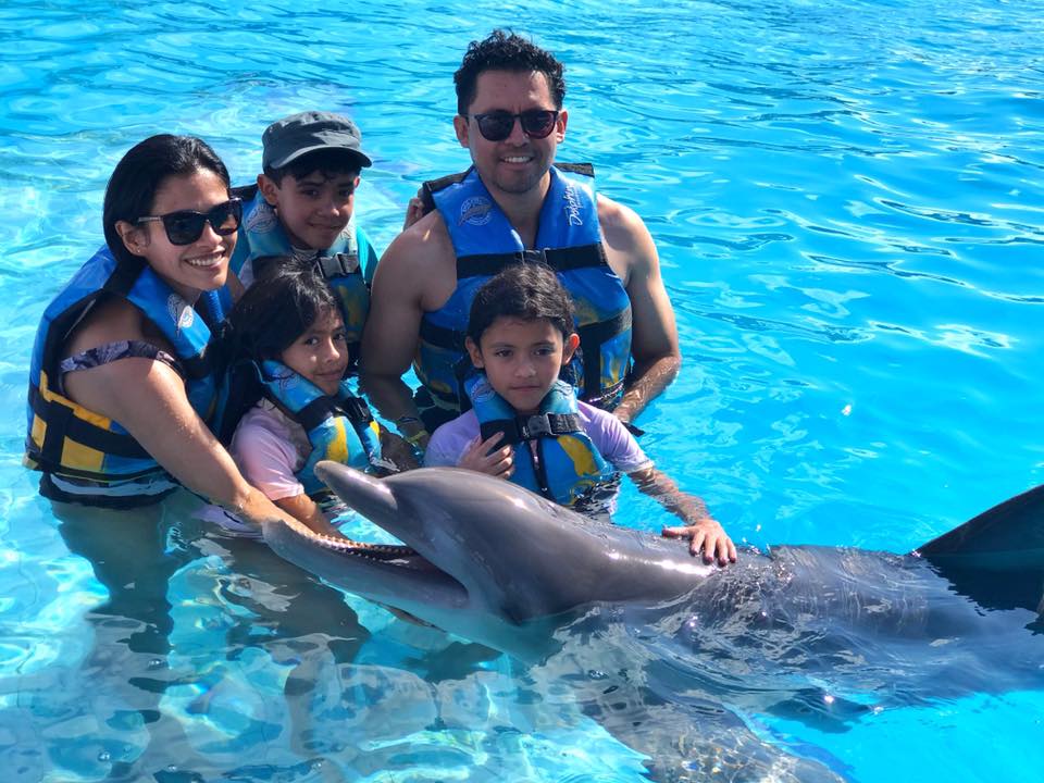 Familia nadando con delfines en Puerto Vallarta