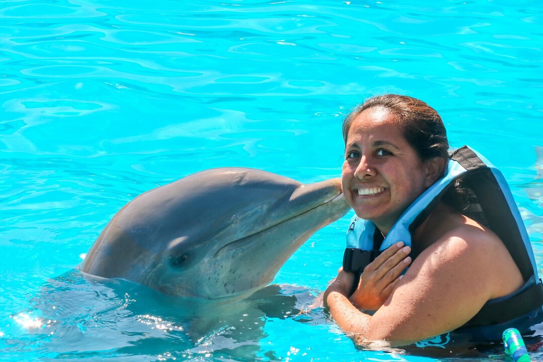nadar-con-delfines