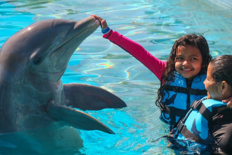 niños nadando con delfines en vallarta