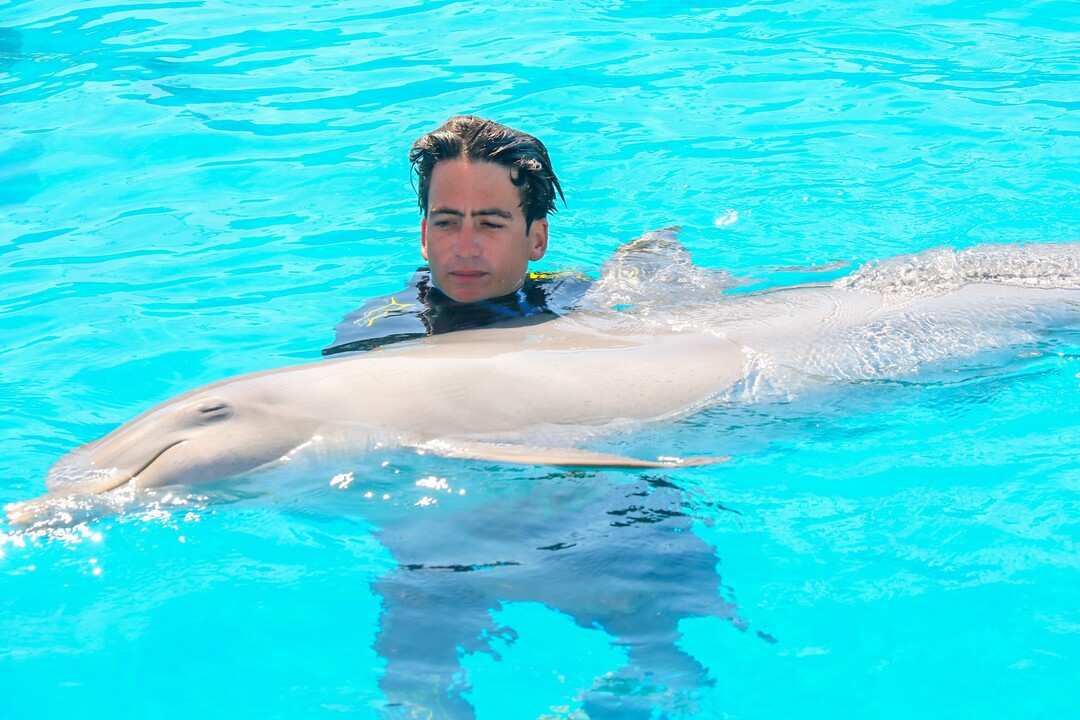 hombre en alberca con delfin