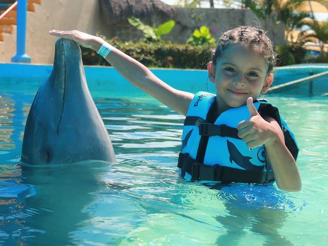 niña nadando con un delfin en vallarta