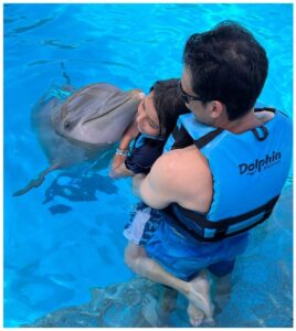 papá e hijo nadando con delfines en vallarta
