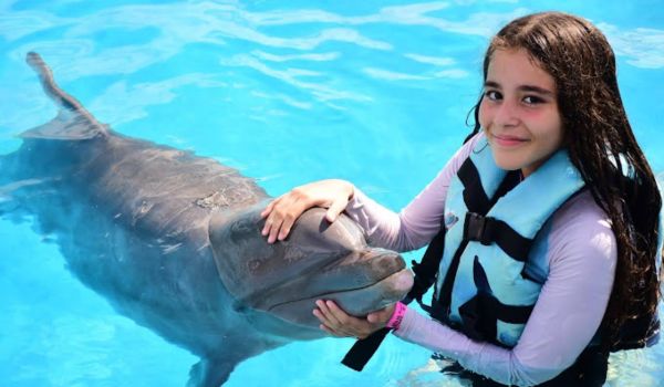 Nada con Delfines en Vallarta