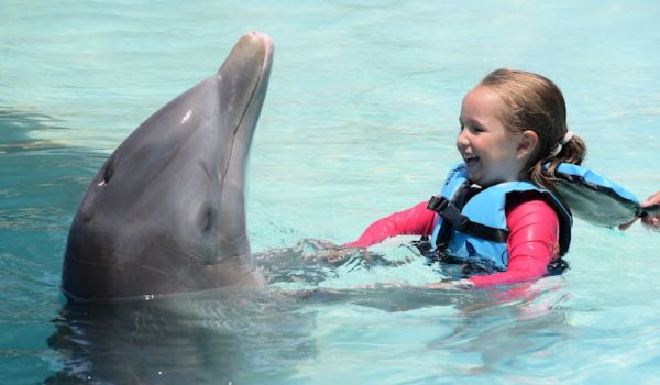 Nada con Delfines en Nuevo Vallarta