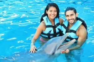 nadar con delfines en vallarta