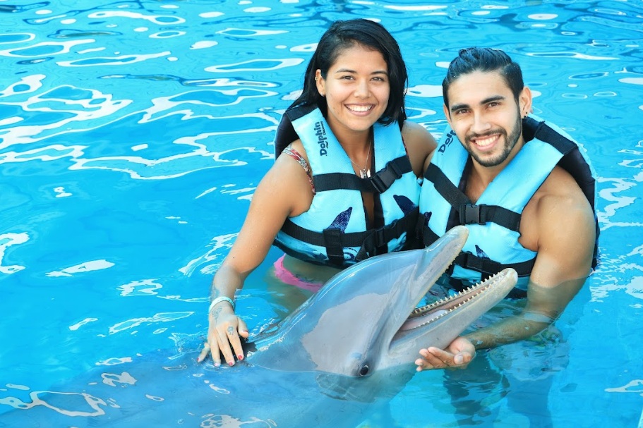 nadar con delfines en vallarta